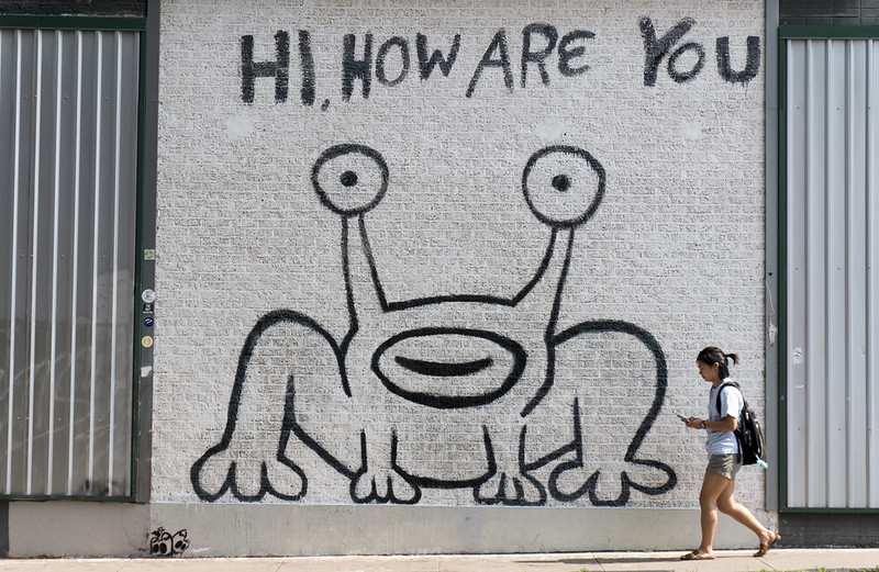 frog mural in austin texas