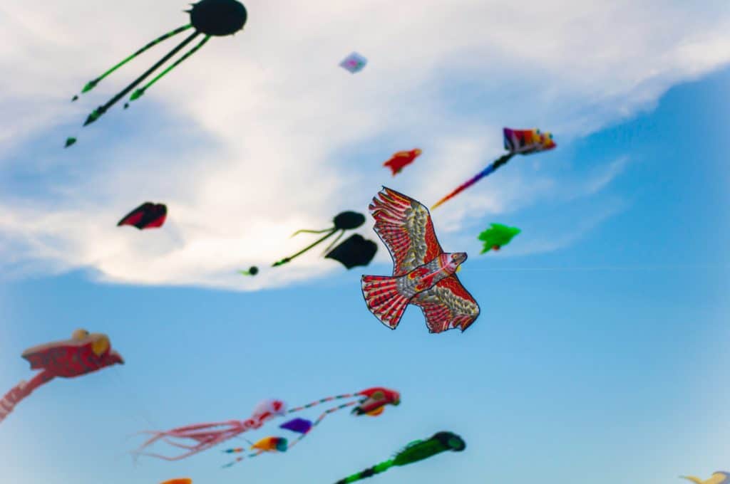 kites flying in zilker kite festival