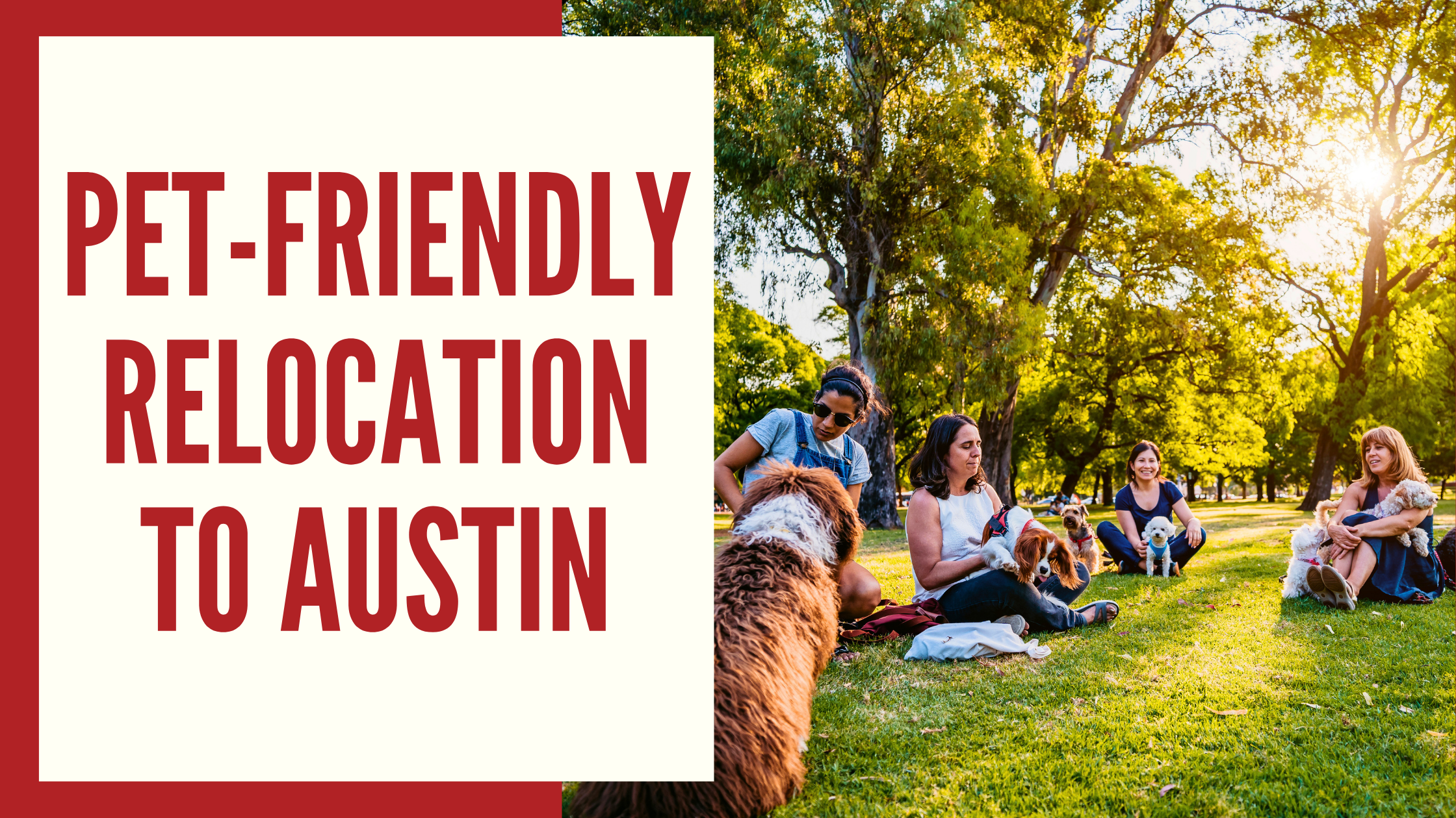 pet friendly relocation in austin texas